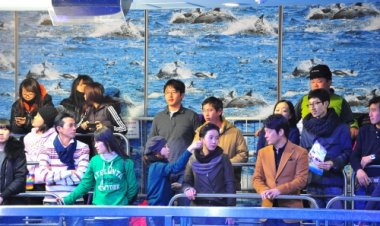 고래생태체험관 일대 MBC 드라마 '욕망의 불꽃' 촬영