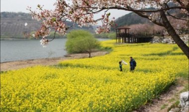 선암호수공원의 봄