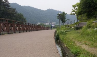 개똥 버리는 얌체 시민들, 태화강 산책길