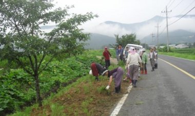 언양 다개마을 일원 꽃길 조성