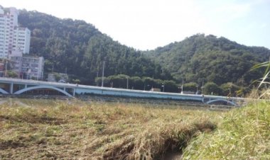 아름답던 태화강 인근이 크게 훼손