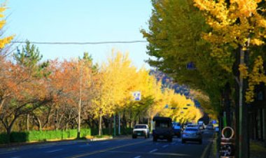 가을이 전하는 말