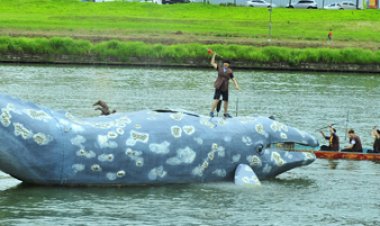 2014 울산고래축제 개막 행사 다양