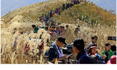 가을의 중턱에서 만난 억새