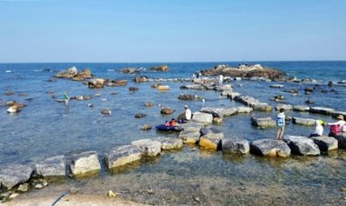 8월 주전 여름 휴가풍경