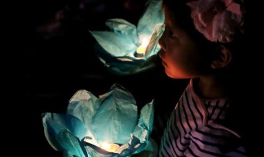 2015 여천천 전통등 전시회