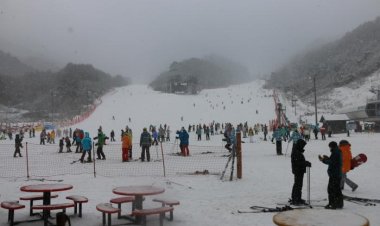 눈내리는 무주...