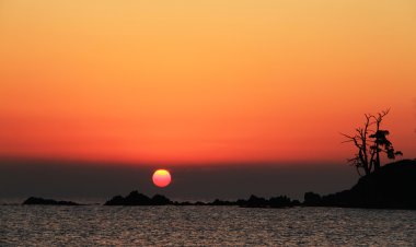 일출명소 진하 명선도에 쏠린 눈