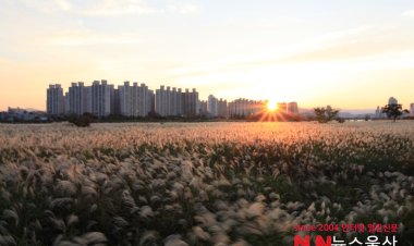 노을빛으로 물든 가을