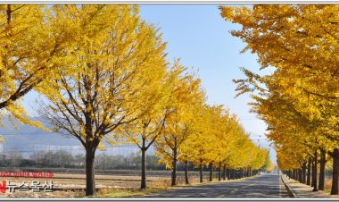 형형색색 물들어 가는 가을정취...
