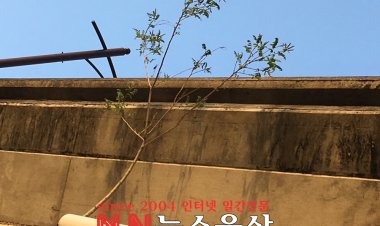 보고도 믿기지않는 광경