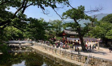 통도사 부처님 오신날