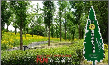 이곳이 울산의 숨은 명소