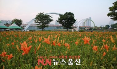 꽃망울 터트린 원추리꽃