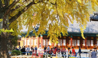 청도 운문사의 가을