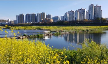 태화강의 봄소식