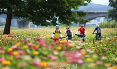 백일홍 향기 속으로...