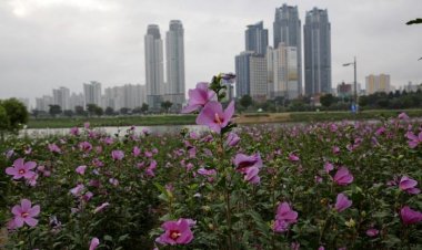 태화강 국가정원 꽃길 따라서
