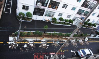 제9호 태풍 마이삭의 위력