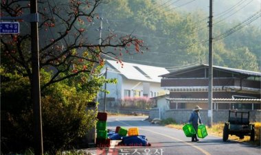 가을이 깊어간다