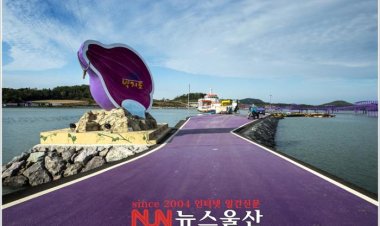전남 신안 퍼플섬