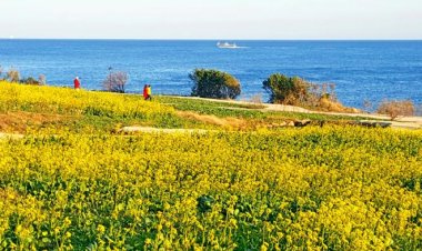 벌써! 봄이 왔니!