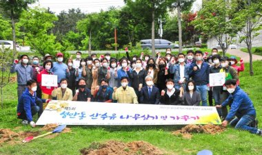 성안동, 산수유 나무 50주 심기 진행