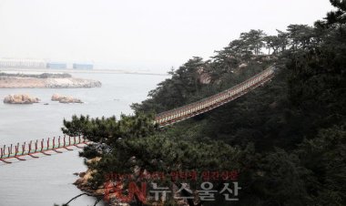 모습 드러낸 대왕암 출렁다리