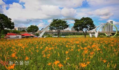 7월의 꽃...기다리는 마음으로 피어난 원추리