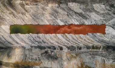 2021 부산국제사진제 소식 - 인류세 시대, 위기에 처한 지구를 담은 목격자 12인