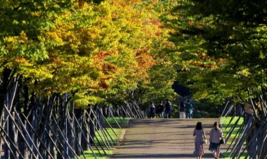 가을 단풍 속으로...