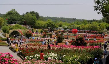 울산으로 장미축제 보러 오세요""