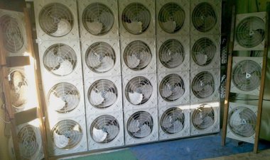 북구, 돌미역 등 수산특산물 육성 강화