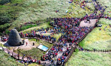 울주군, 2012 울주군정 베스트 5 선정