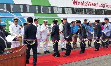 고래바다여행선 2016 정기 운항, 첫 출항일부터 참돌고래떼 발견