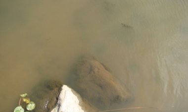 감춰진 태화강대공원 관리부실 심각하다