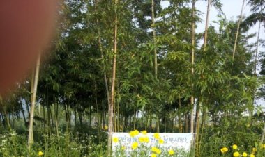 울산시 공무원은 왜 일 안하나?