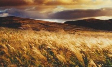 영남알프스,전국 최대 ‘억새군락지’ 복원