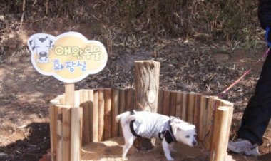 공원, 산책로 등 동물보호법 위반 단속 실시