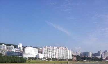 차량으로 인해 태화강 잔디 크게 훼손