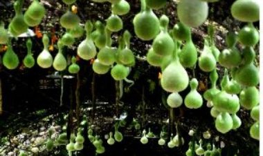 울산생태 전국 사진공모전 ‘생태체험’ 금상