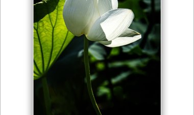 너에게 위로받던 날..