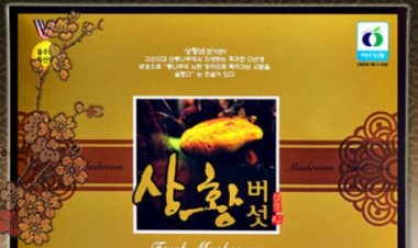 제1회 울산 우수 지역특산품 초대전 개최