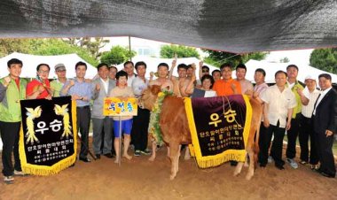 울산 동헌, 단오맞이 한마당 큰잔치 성료