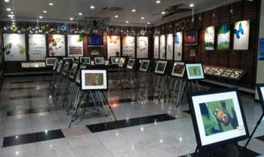 울산대공원 야외 나비터널 새 단장하고 곤충사진전 열려