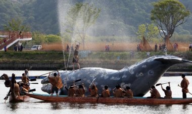 “울산고래축제 보러 오이소”