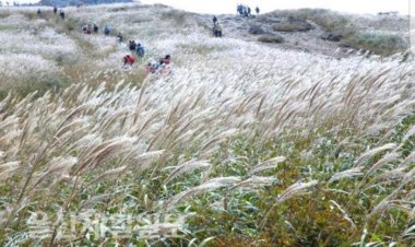 가을 향기로 두근거리는 울산 여행