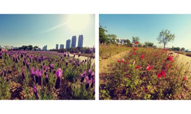 “향기 가득한 정원, 태화강으로 오세요”