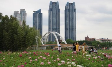 대숲의 바람에 꽃들이 춤을 춘다