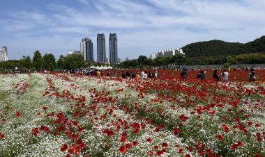 태화강 국가정원 봄꽃축제 성황리에 종료